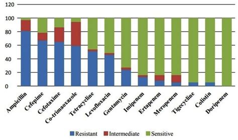 e coli in fish|Antimicrobial resistance and biofilm formation of Escherichia coli .